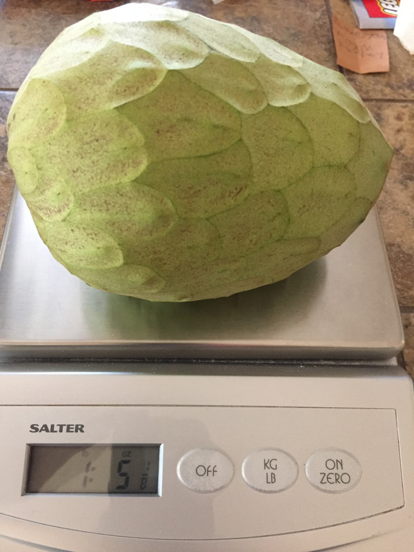 2FE82B50-6E42-4512-BD91-7FCFFC699367