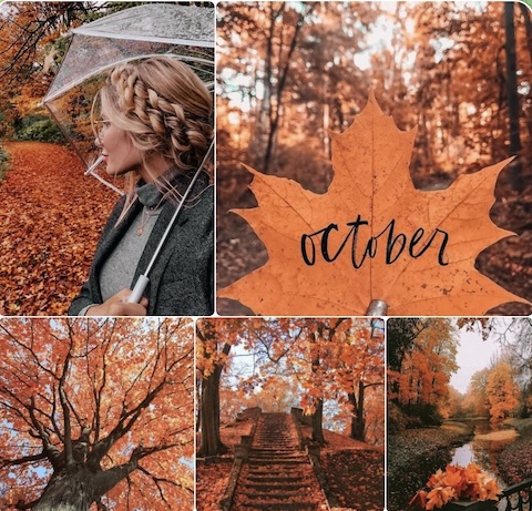 October-Fall-Collage