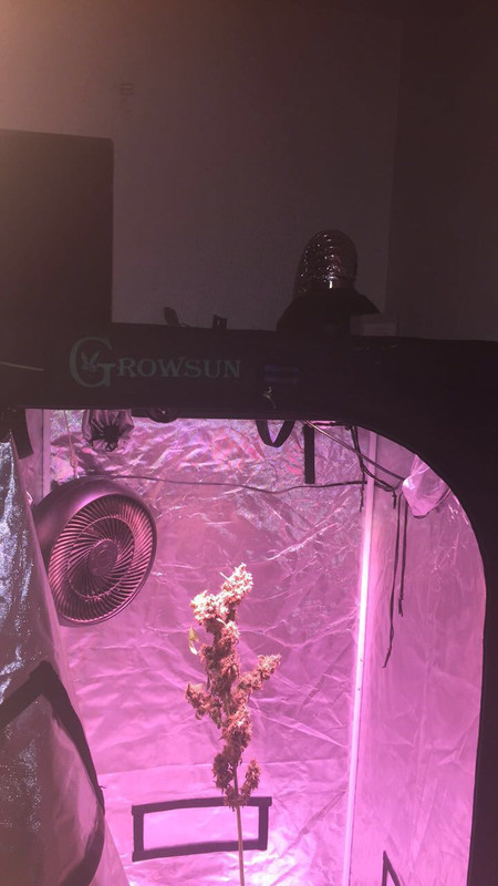 00CB6A1B-5C0B-4CEB-8762-6A8928FB4038