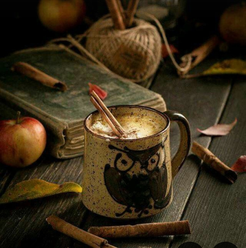 Screenshot_20240715_160340_Pinterest