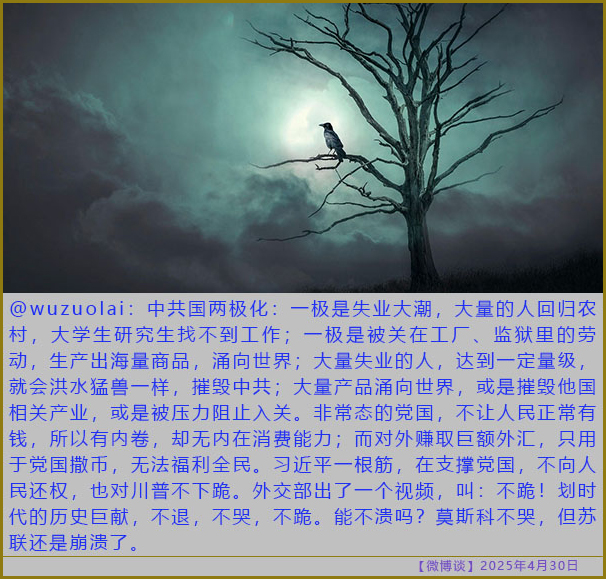 https://i.postimg.cc/W1S3nyx3/20250430-bt-1.jpg