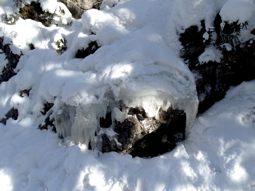 05.25 - DSC06271 (Czesio1)