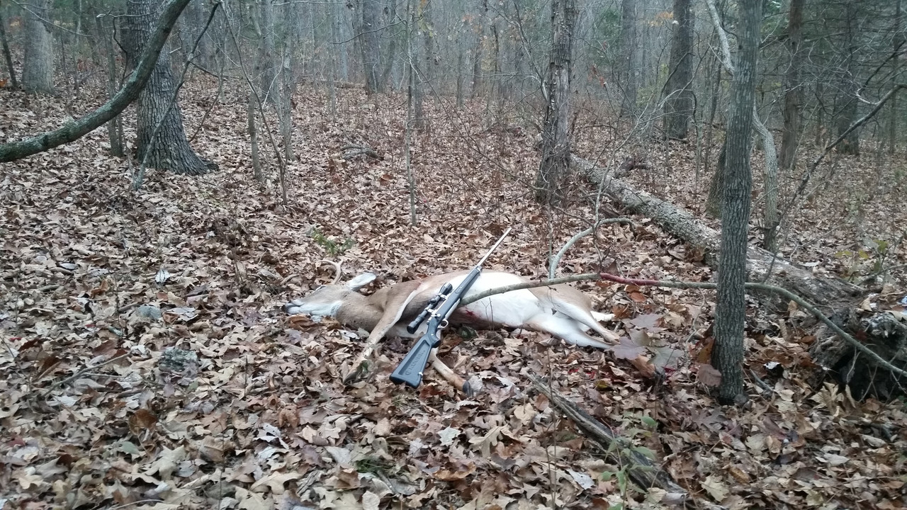 20181111_Rvl Deer (4)