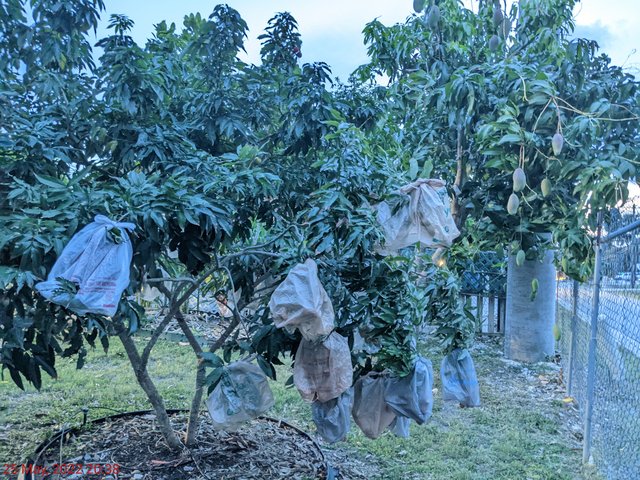 [Image: PXL-20220526-003842940-NIGHT.jpg]