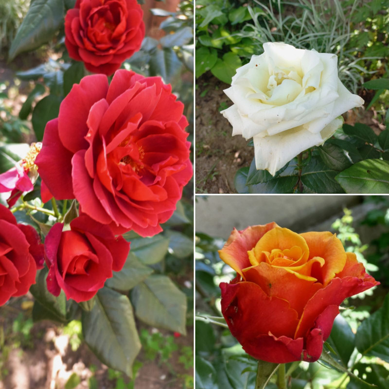 изображение_viber_2023-06-14_15-13-04-640