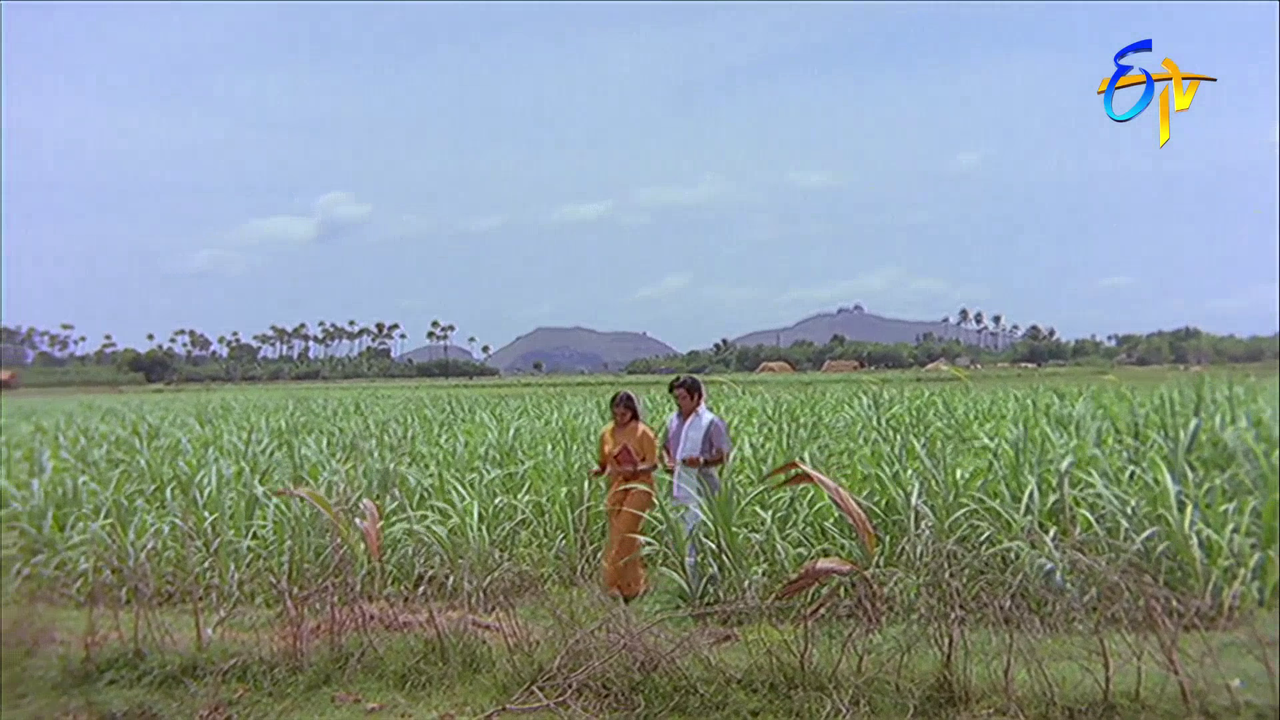 vlcsnap 2026 02 04 14h00m59s584