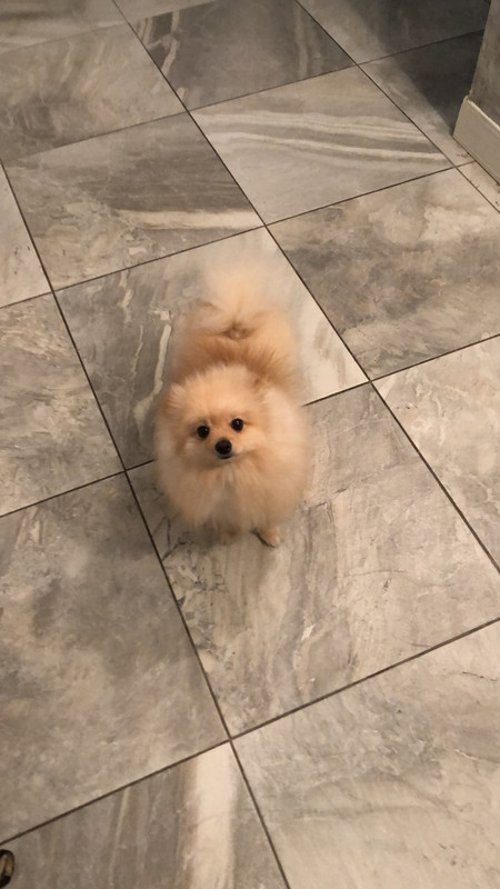 D85CBA48-8A15-46C8-8C3E-1F8683CCB53C