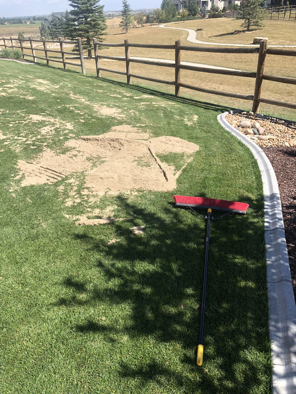 23118CD0-8205-499B-A04F-0C4469F381E7