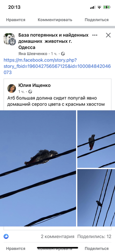 BCF2CDC1-B98B-4749-89DB-CFA1A08848B0