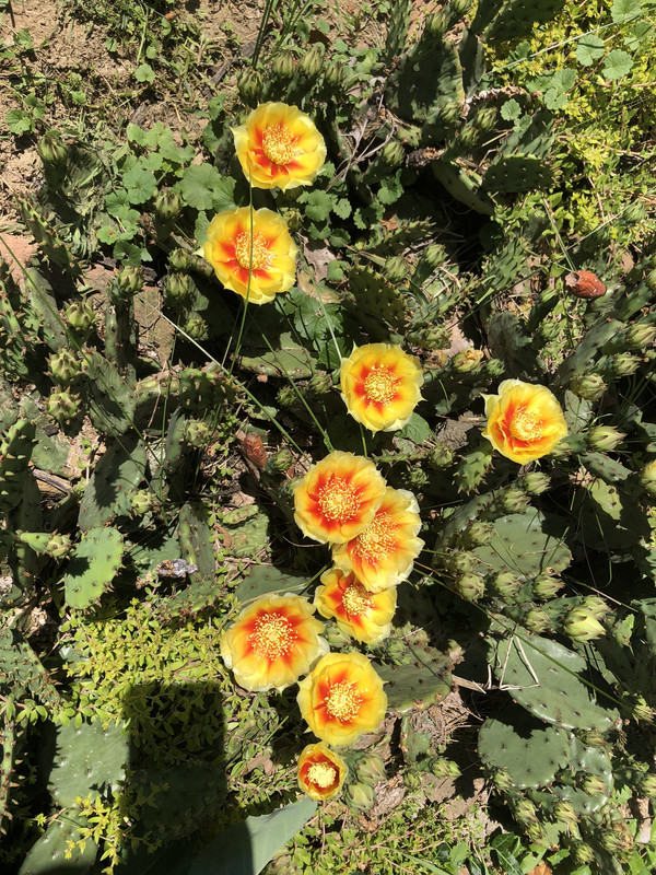 654044A1-12E4-451A-848A-EFF72FF1F270