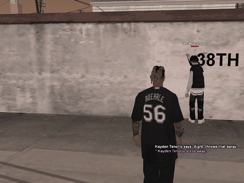 SS3.png