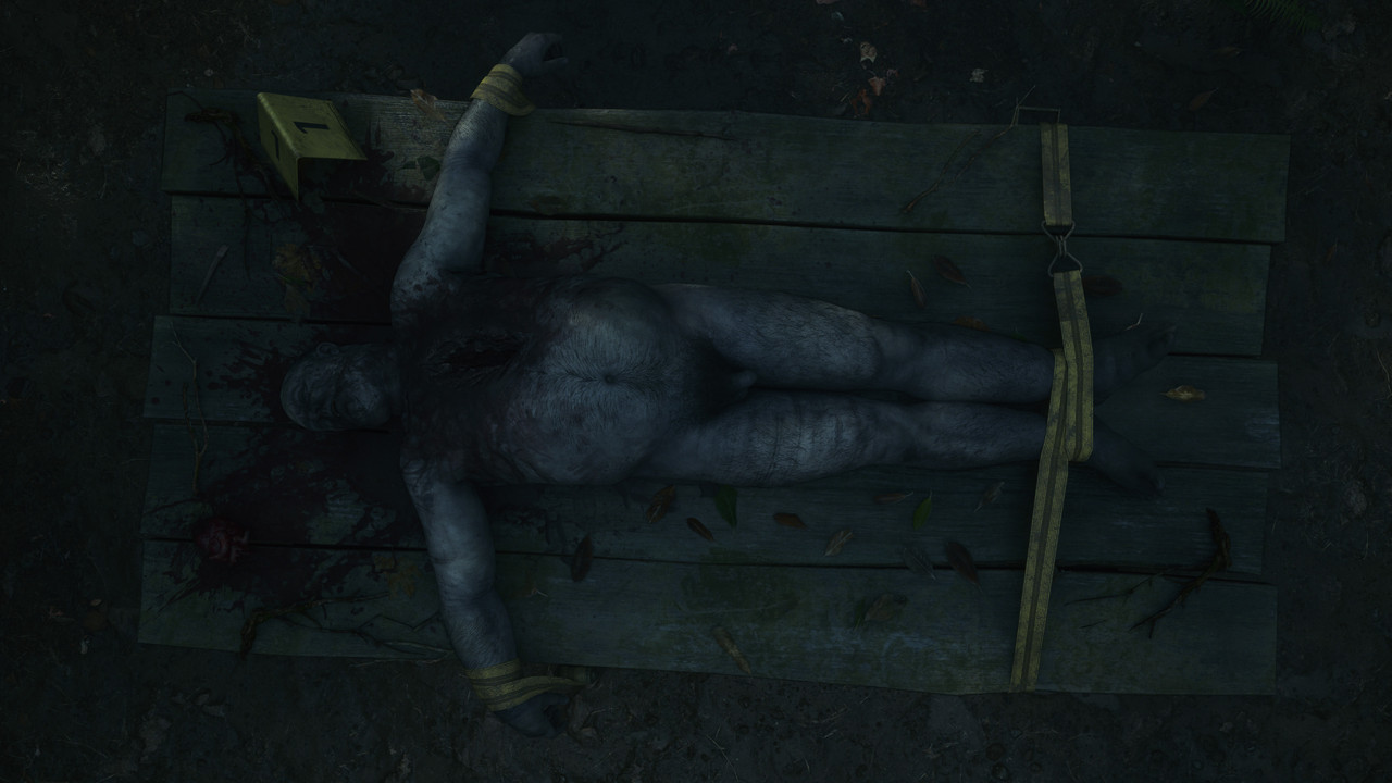Alan Wake2 2026 06 06 16 00 00 831