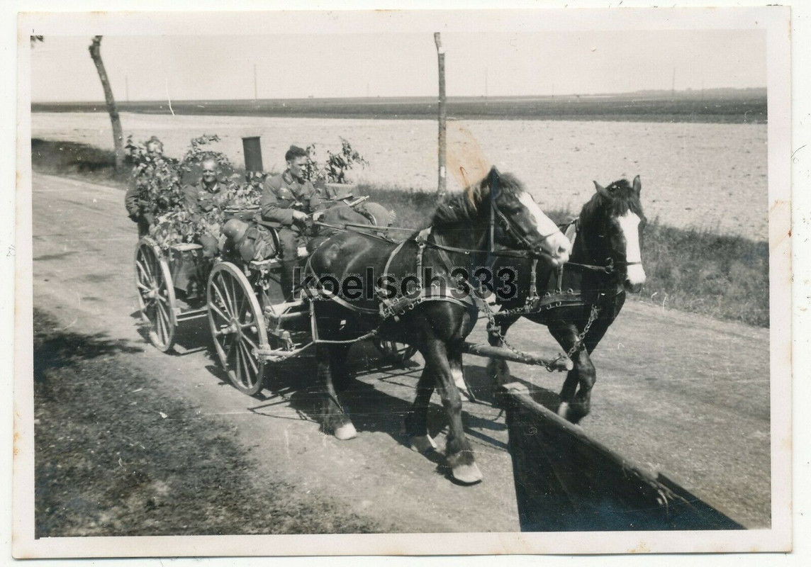 ! Pferde bespannter Feldküchen Anhänger auf dem Marsch im Westen 1940