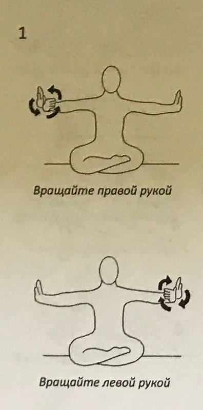 ОбновлениеНервнойСистемы