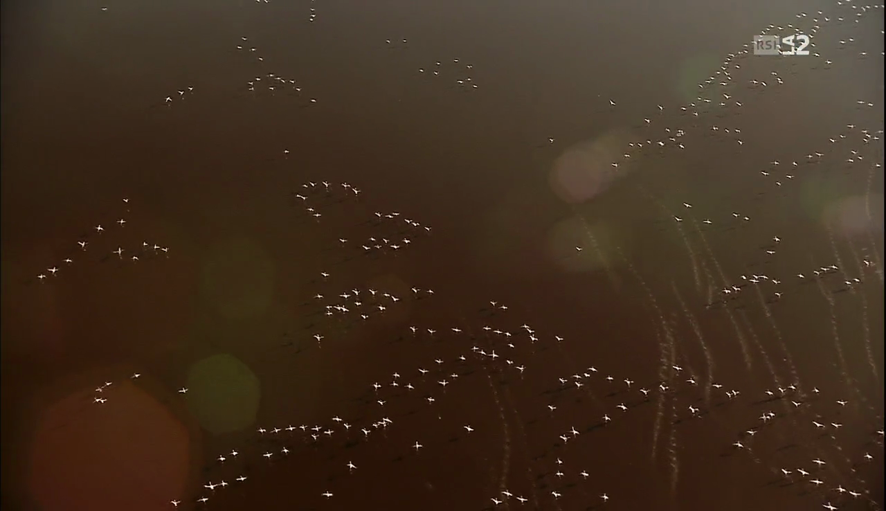 vlcsnap-2016-12-25-18h28m50s913