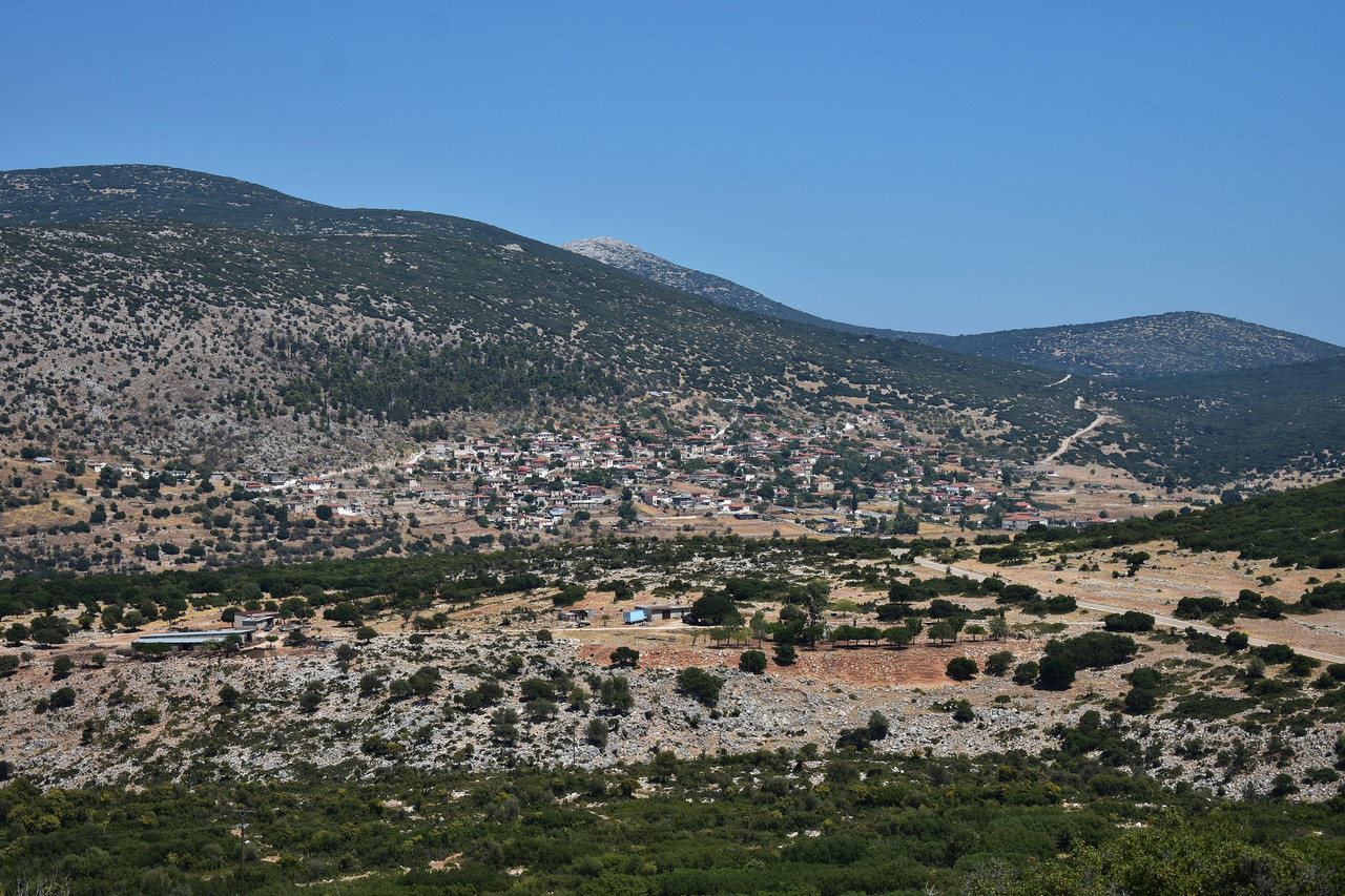 Αραχναίο (1)