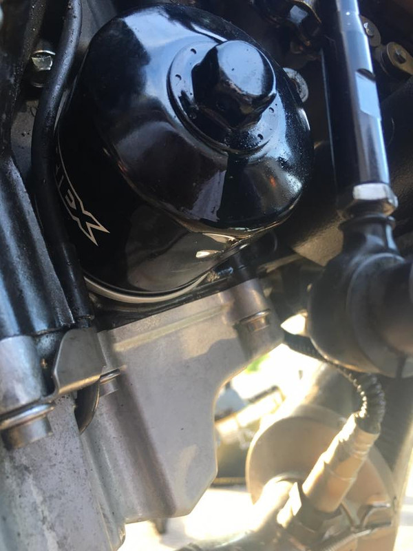 13615033_1436430996373352_5190455652759775681_n