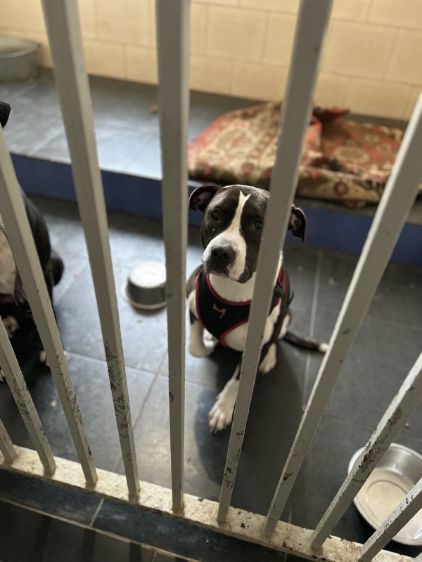 6ED12547-1DF2-438A-A02E-982DF1ED5B8B