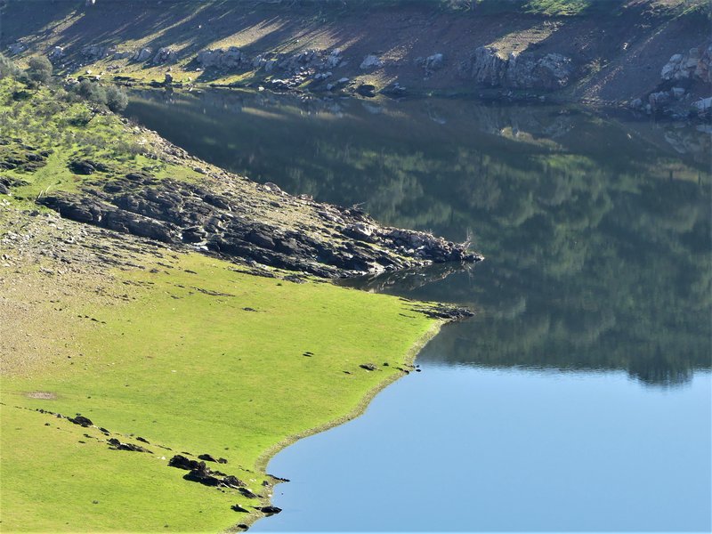 PARQUE NACIONAL DE MONFRAGÜE-2020/2023 - EXTREMADURA Y SUS PUEBLOS -2010-2023 (121)