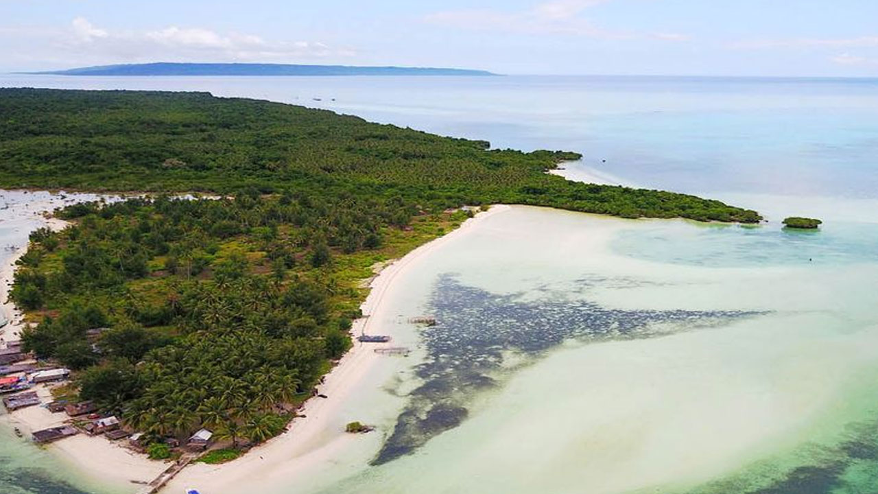 Keunikan Flora dan Fauna Pulau yang Eksotis