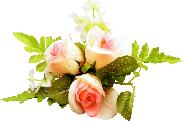 BIBI-PINK ANGEL ELEMS (74)