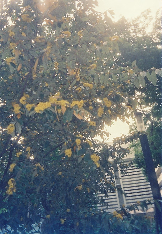 Vision3HFJun23_05b_crop