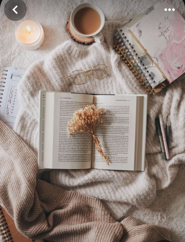 Screenshot_20230913_201311_Pinterest