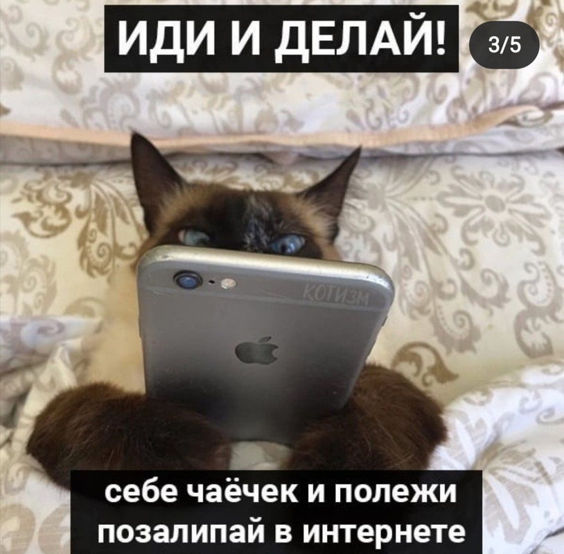 Screenshot_20211130_105301