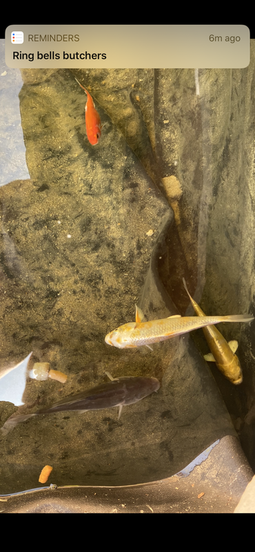 C4250D61-E1BB-4554-A62A-5526020F1C84