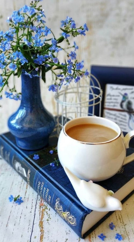 Screenshot_20221214-000212_Chrome