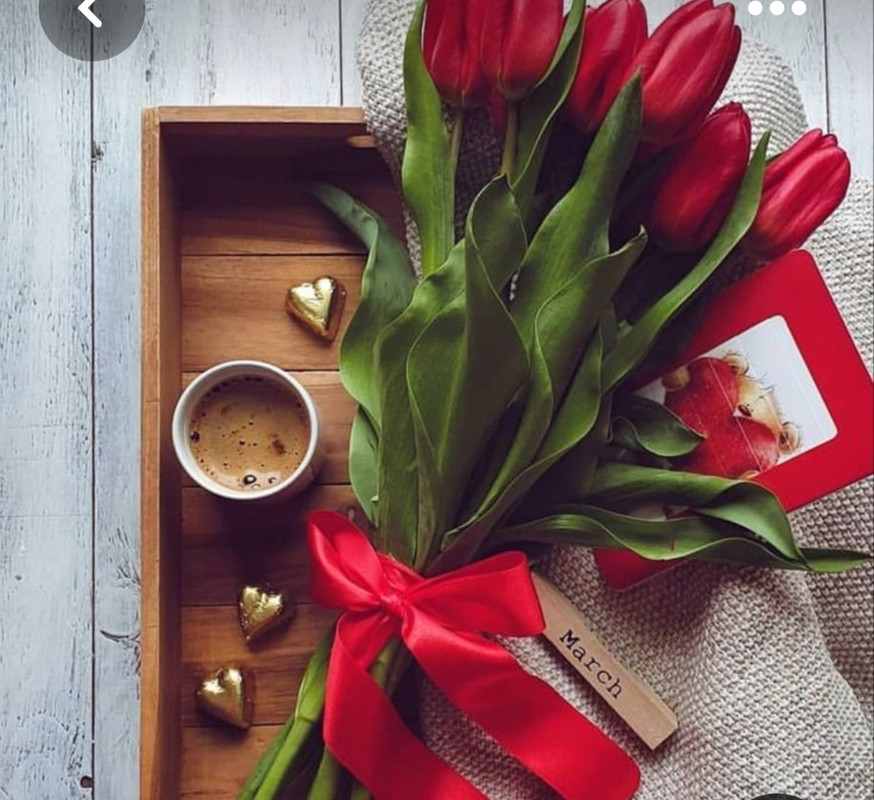 Screenshot_20230311_224441_Pinterest