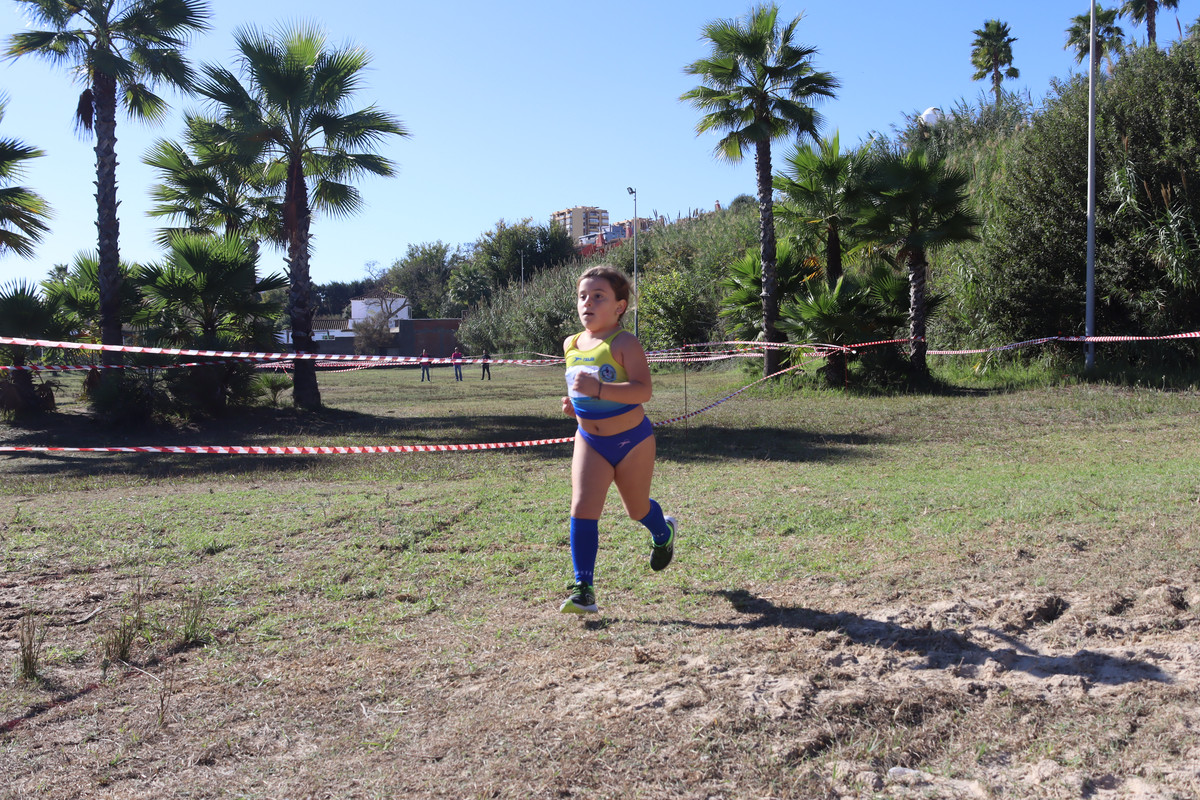 IMG-0529