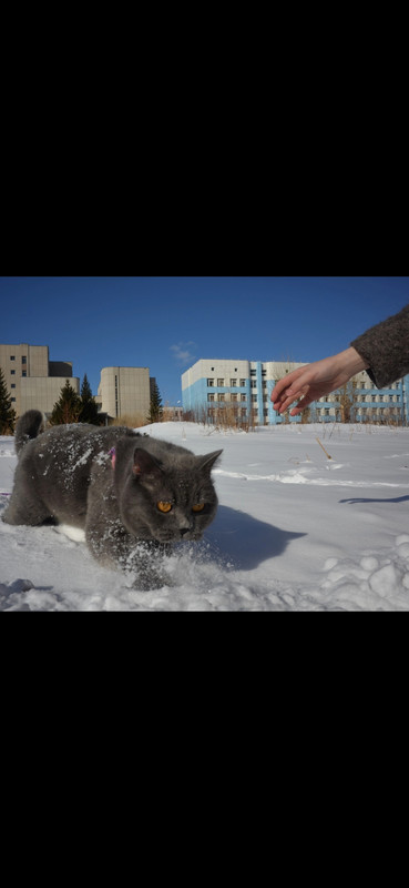 Screenshot_2023-11-22-08-18-46-735_com.miui.gallery