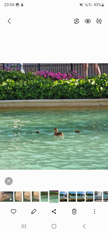 Screenshot_20220715-235405_Gallery