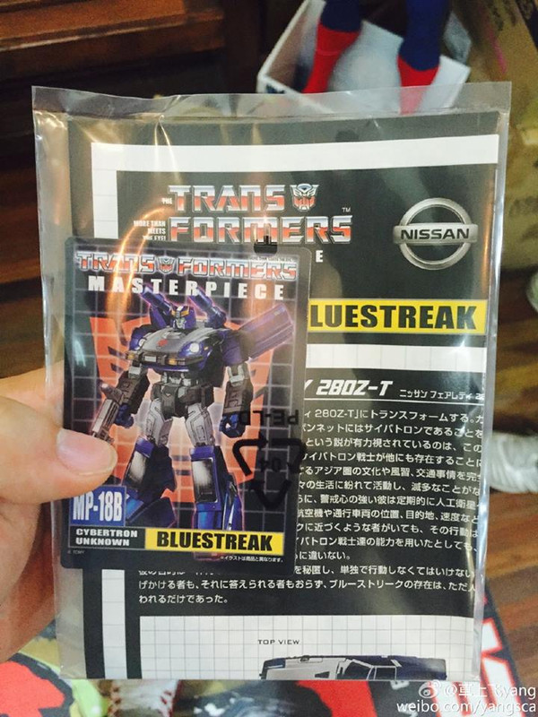 11949558_121132924903810_4122044851974652561_n