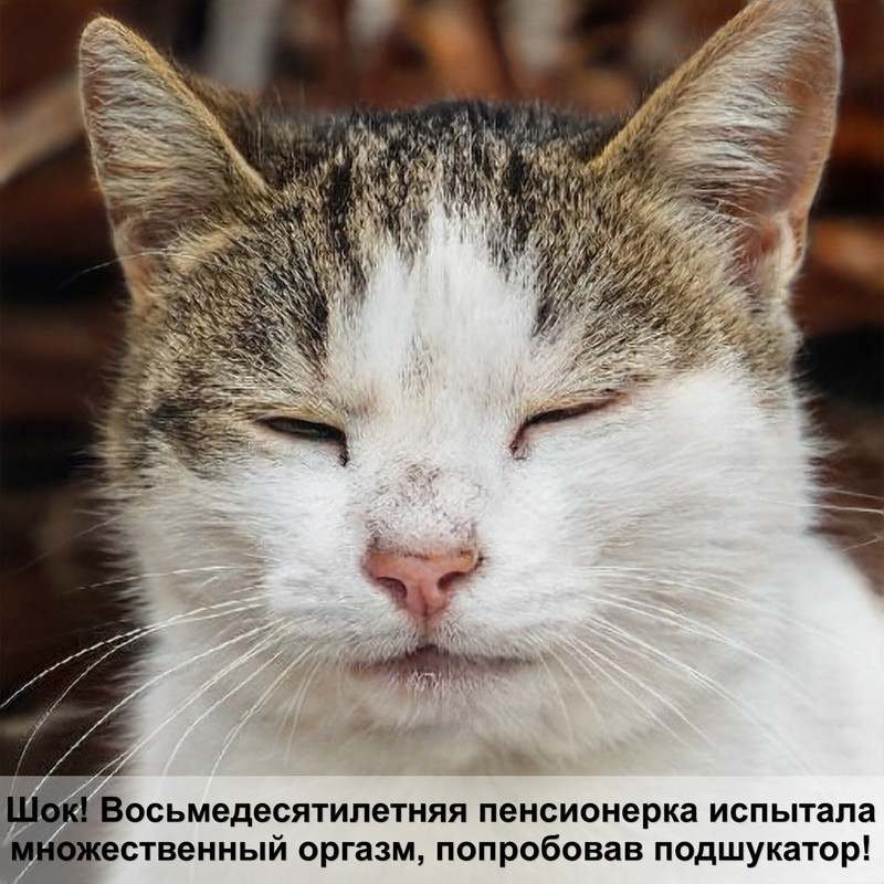 royal canin для стерилизованных кошек