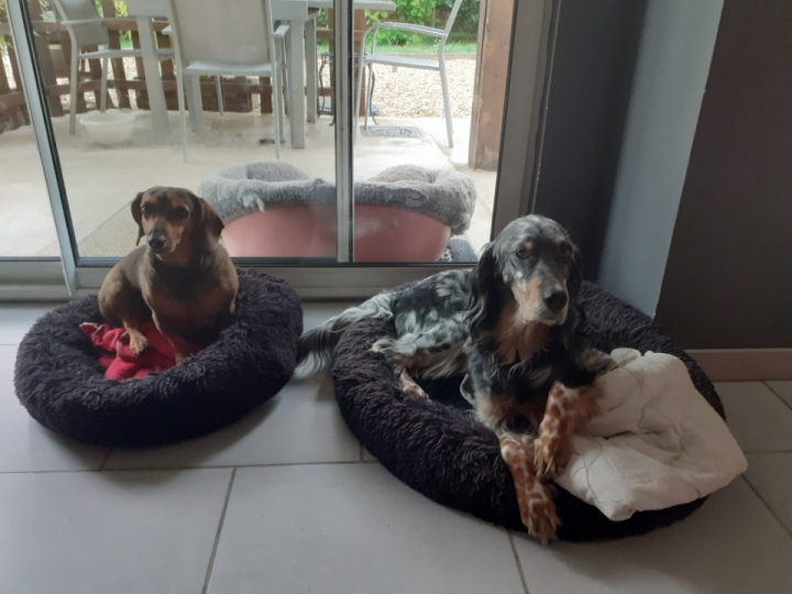 [Image: Resized-20220621-072442.jpg]