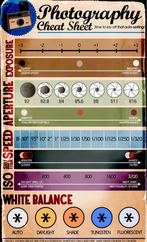 523392_505778309447121_1194048011_n