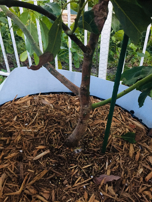 9CB64E6B-7F56-4005-8998-90357861C04F