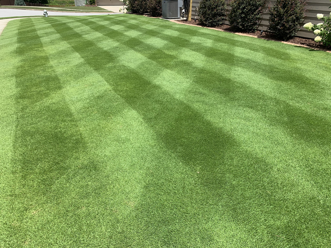 E8230429 E18 D 4 C1 A 85 F4 C8 B2 F08 F6 Fa2 Postimages