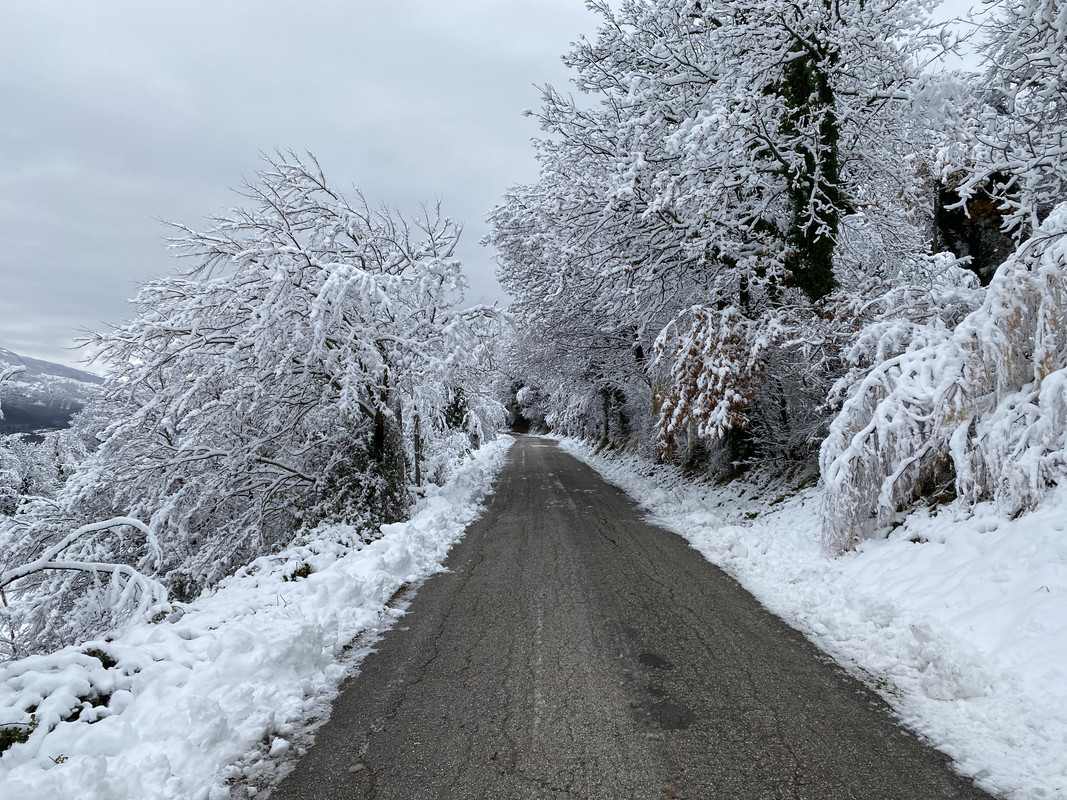 D9C061BD-1D37-4618-8FED-2B2EB33637D1