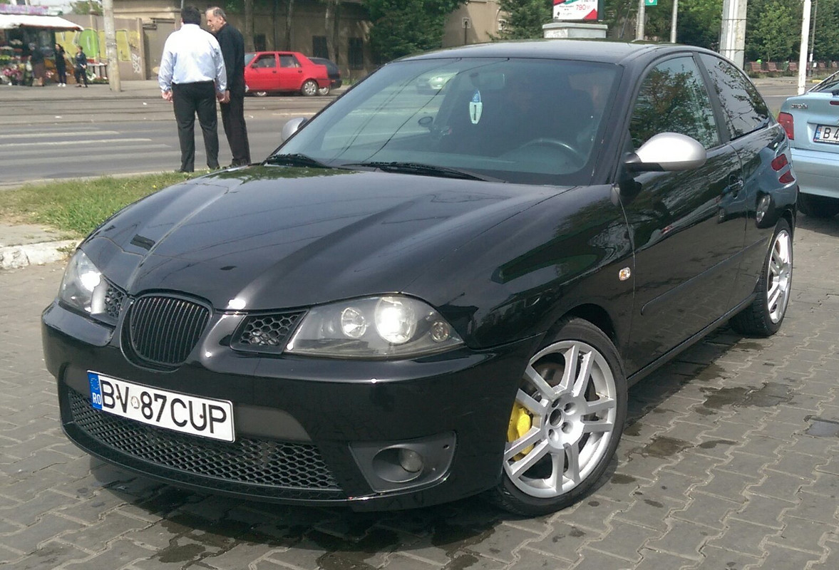 IMAG5381_1