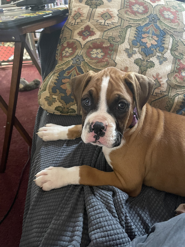 75DDEABF-AA34-45CD-BA38-31C6F2D4DAC3