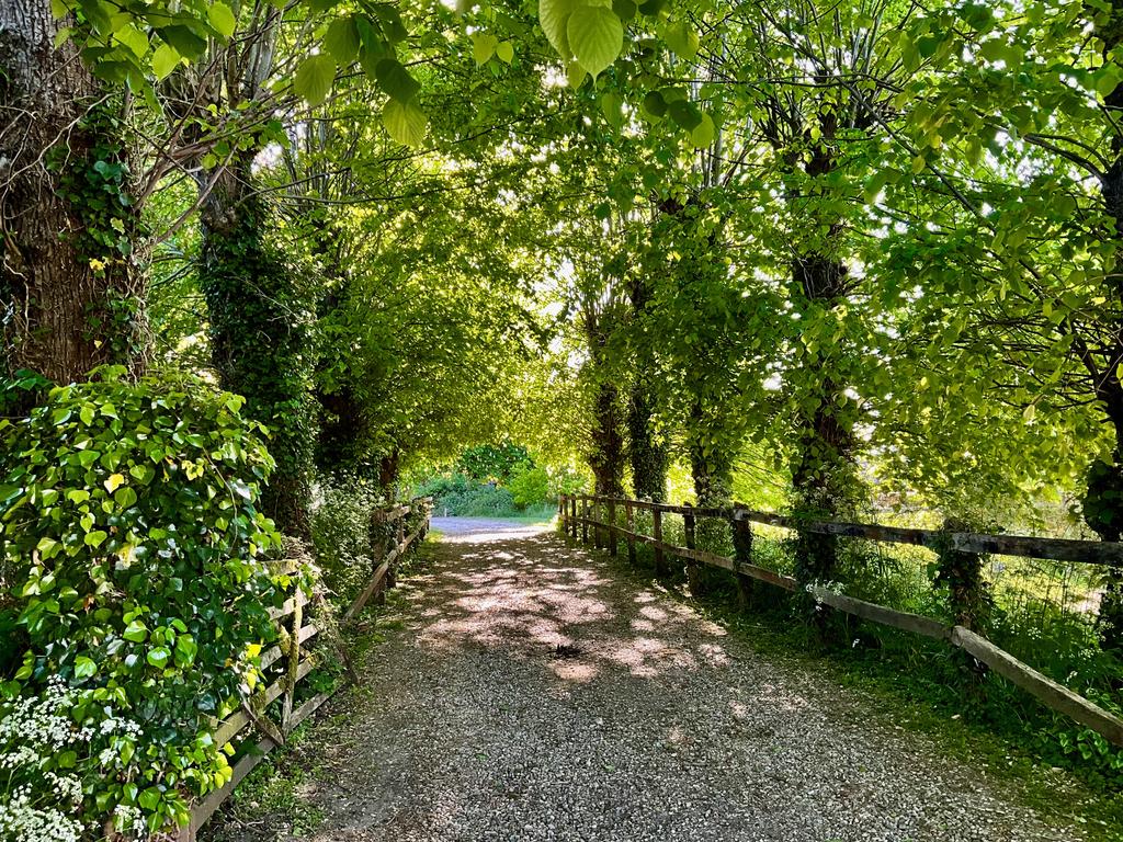 Пёстрая лента. Путешествие по сельским дорогам Англии в мае 2025 г.