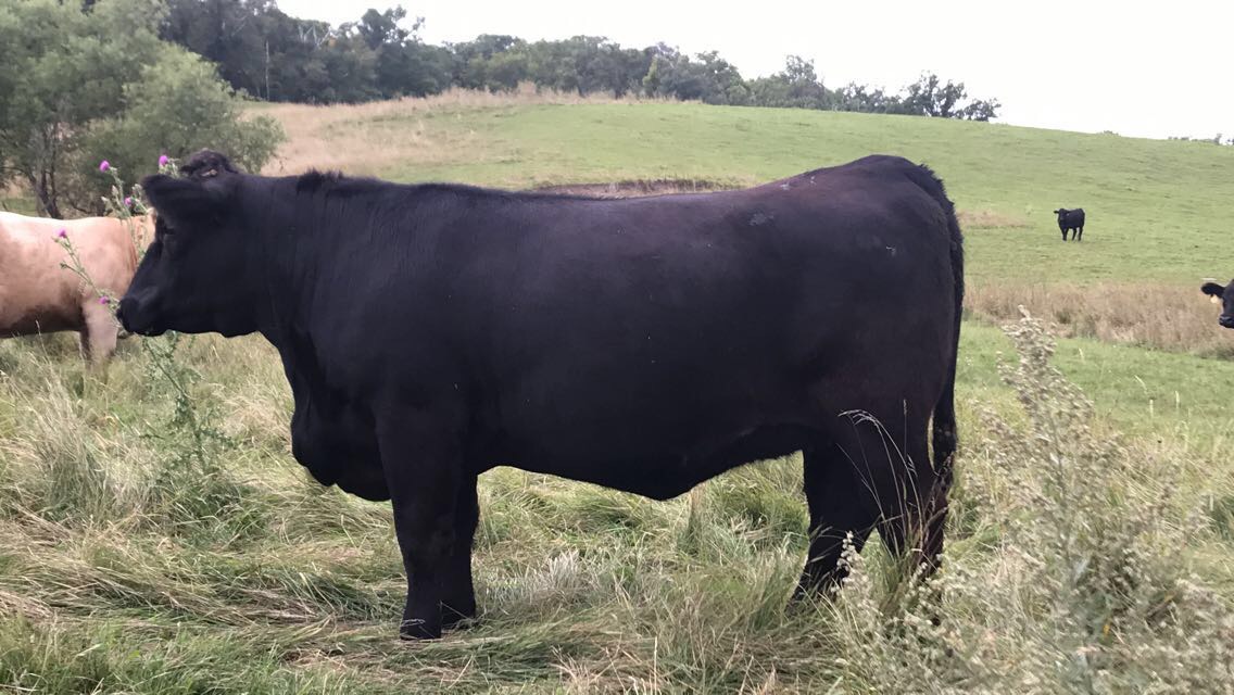 21506C47-531A-4930-A9A9-EB954C01E9E5