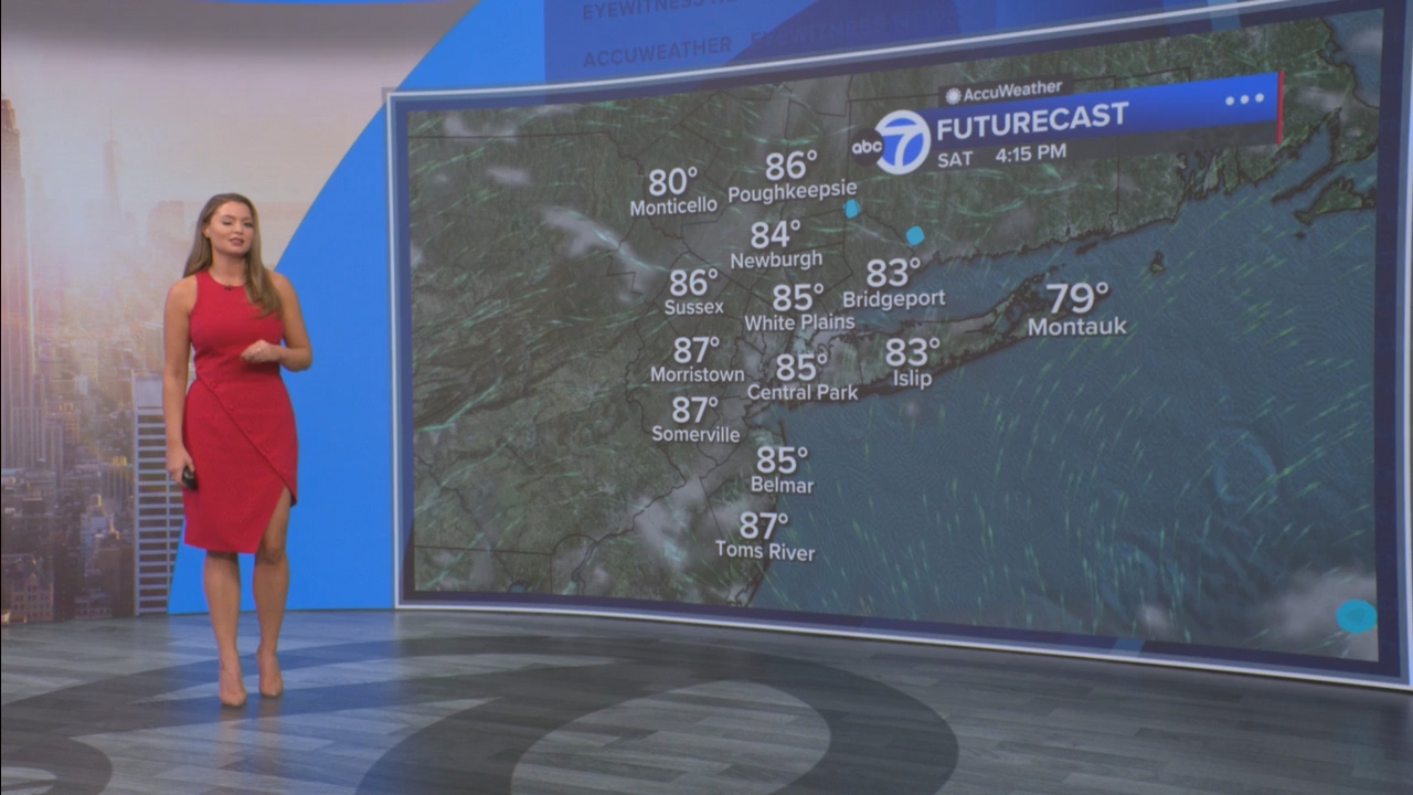 Eyewitness News Mornings at 10_20250620_15001600.ts_snapshot_00.20.14.852