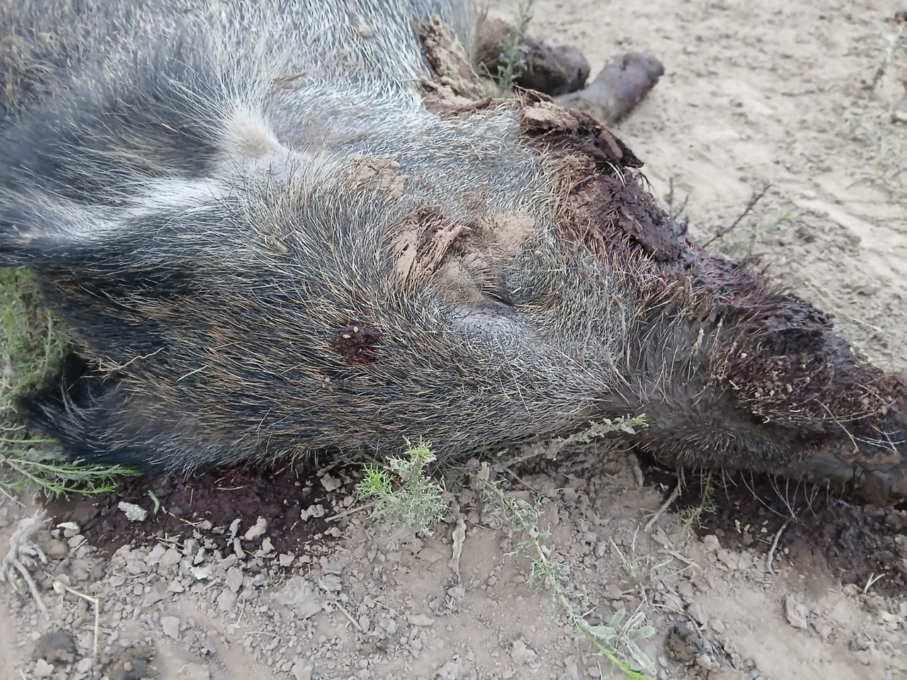 b366bbfa 0489 410a 8433 316101dd97b6