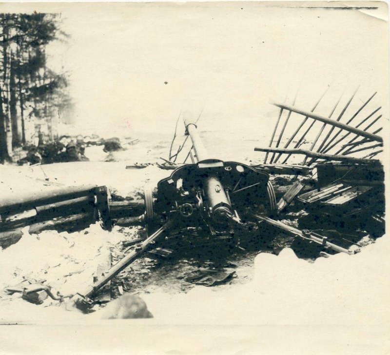 Пушка, захваченная в Красном Бору.
