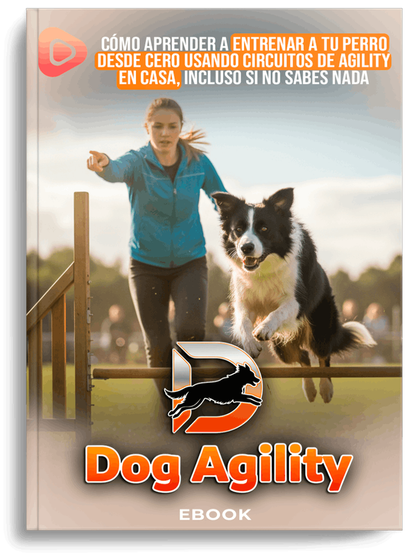 Entrenamiento de agility