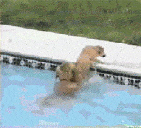 xkm